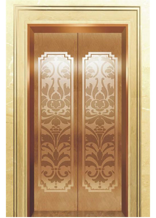 tm-22电梯厅门装潢